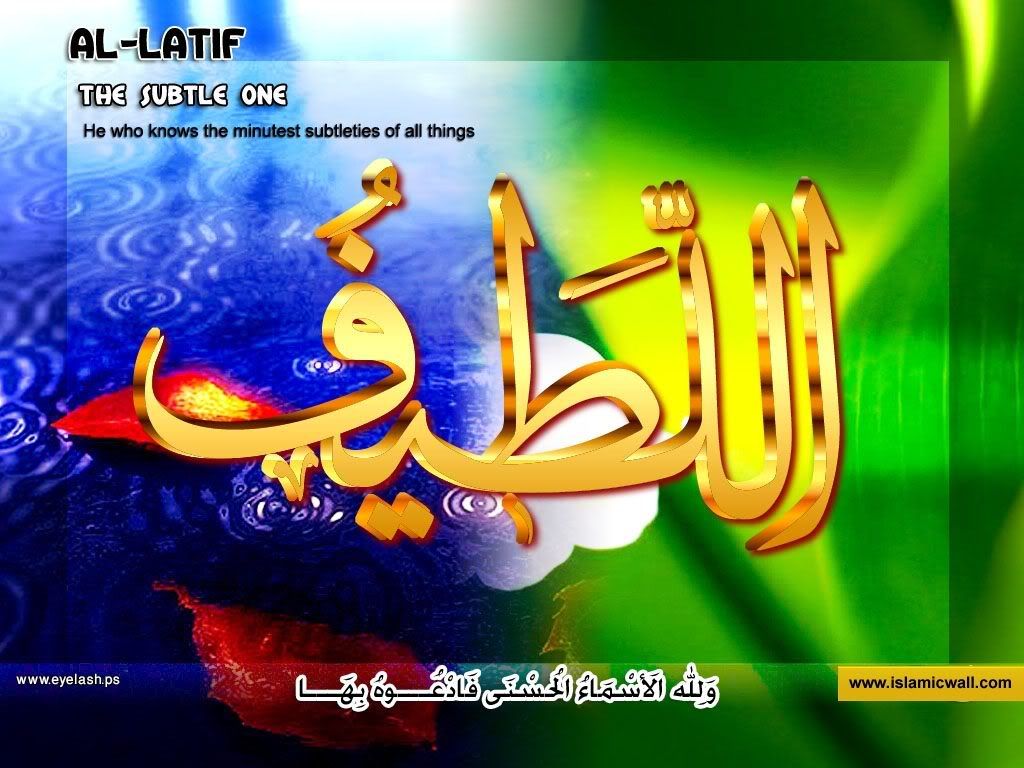 30allatif-1.jpg