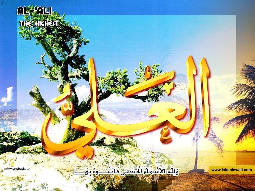 36alali.jpg