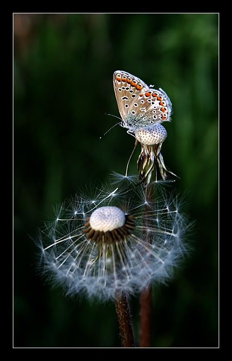 5959298-lg.jpg