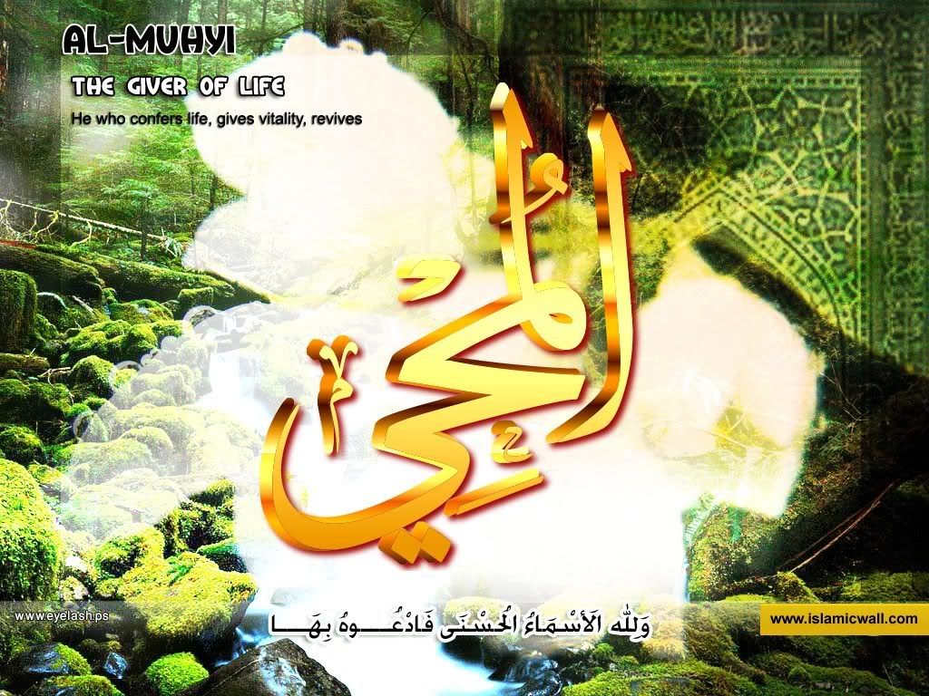 60almohyii.jpg