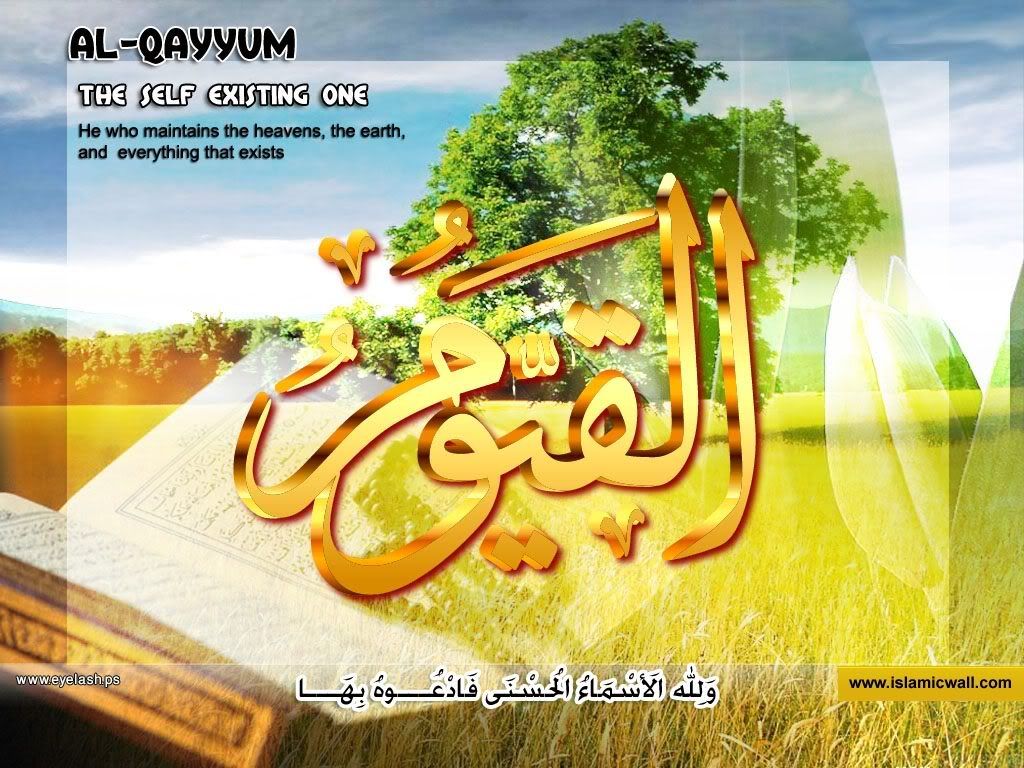 63alqayyom.jpg