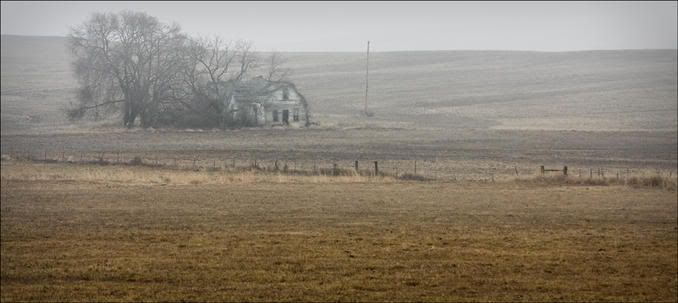9257774-md-1.jpg