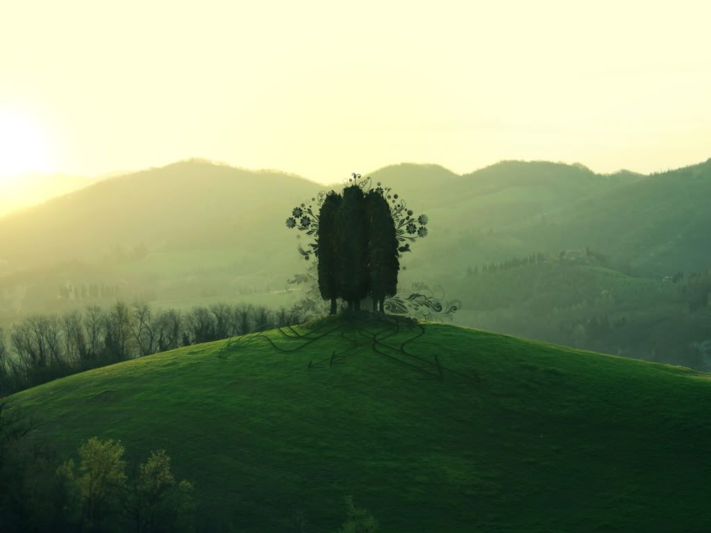 Artistic-Nature-25077.jpg
