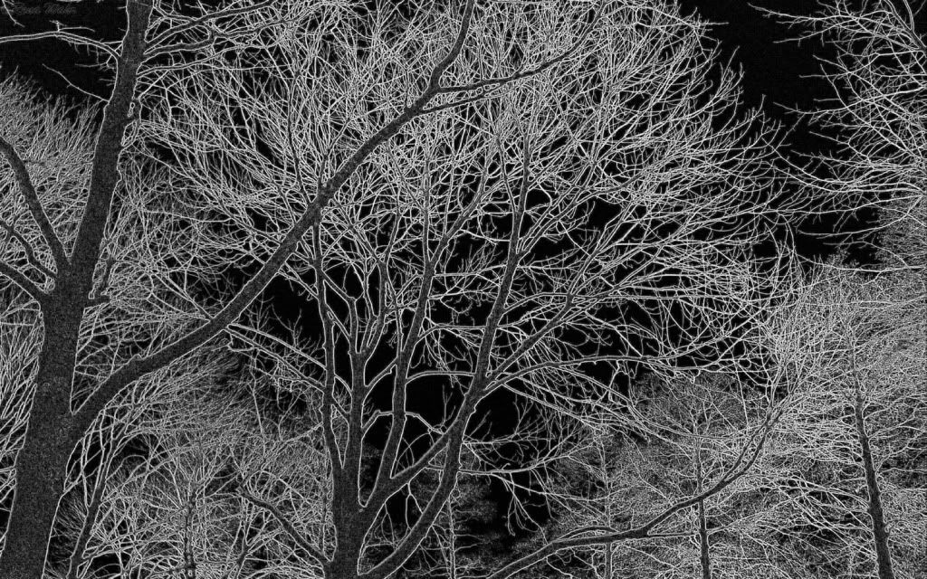 Artistic-Nature-28988.jpg