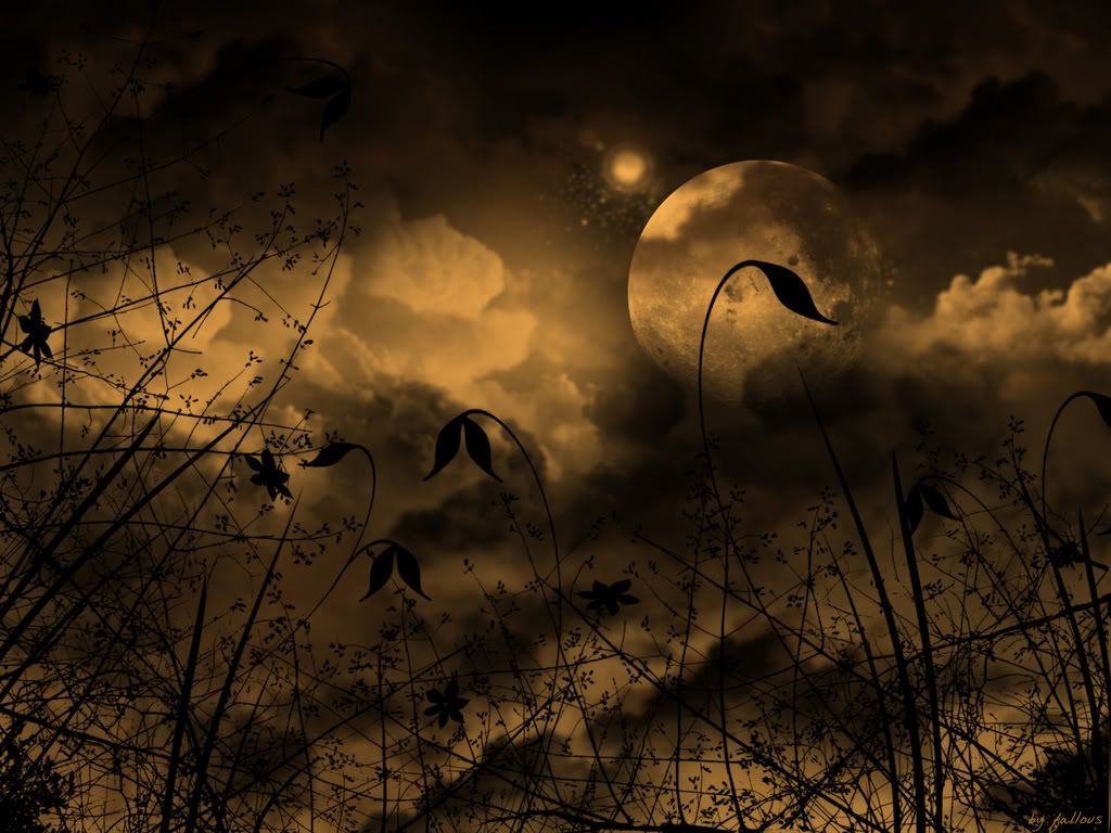 Artistic-Nature-46382.jpg