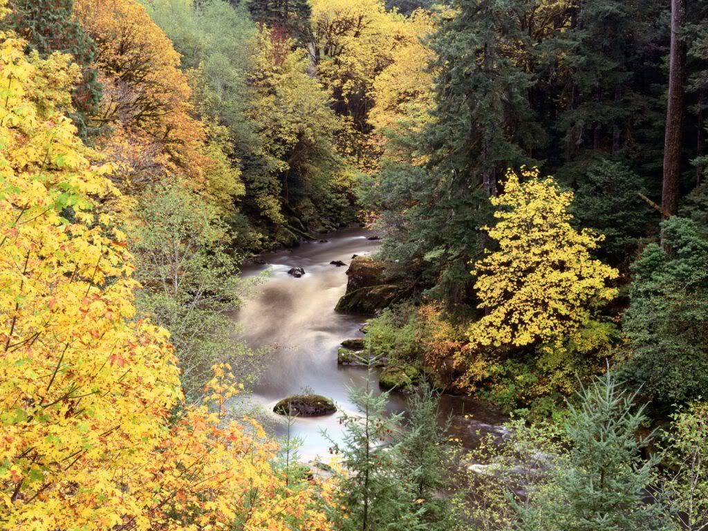 AutumnColorCoquilleRiverOregon.jpg