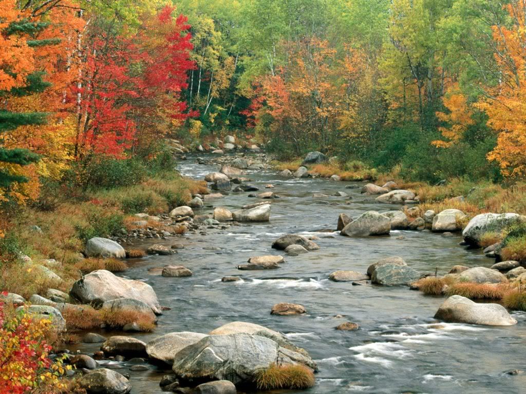 AutumnColorsWhiteMountainsNewHampsh.jpg