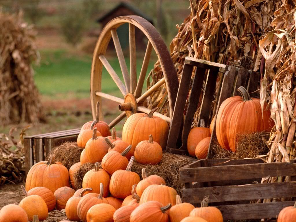 AutumnHarvest.jpg