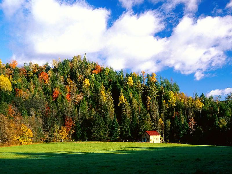 AutumnSeclusion.jpg