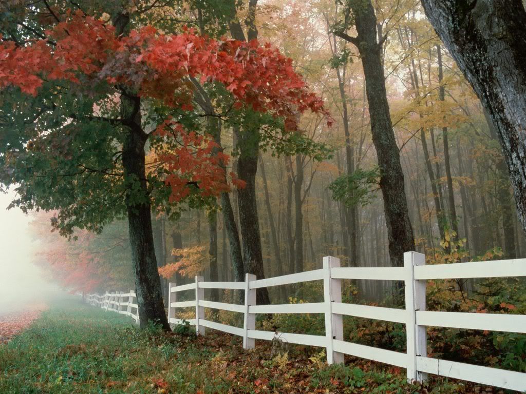 AutumnSplendor.jpg