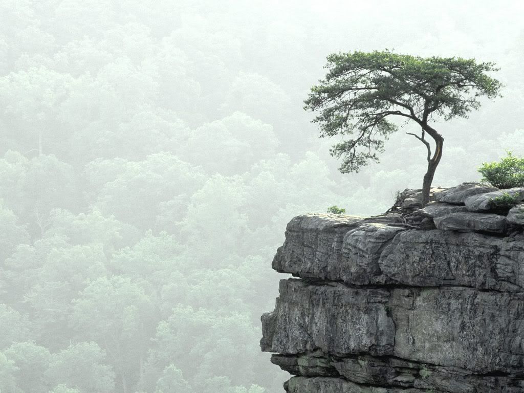 BuzzardsRoostFallCreekFallsStatePar.jpg