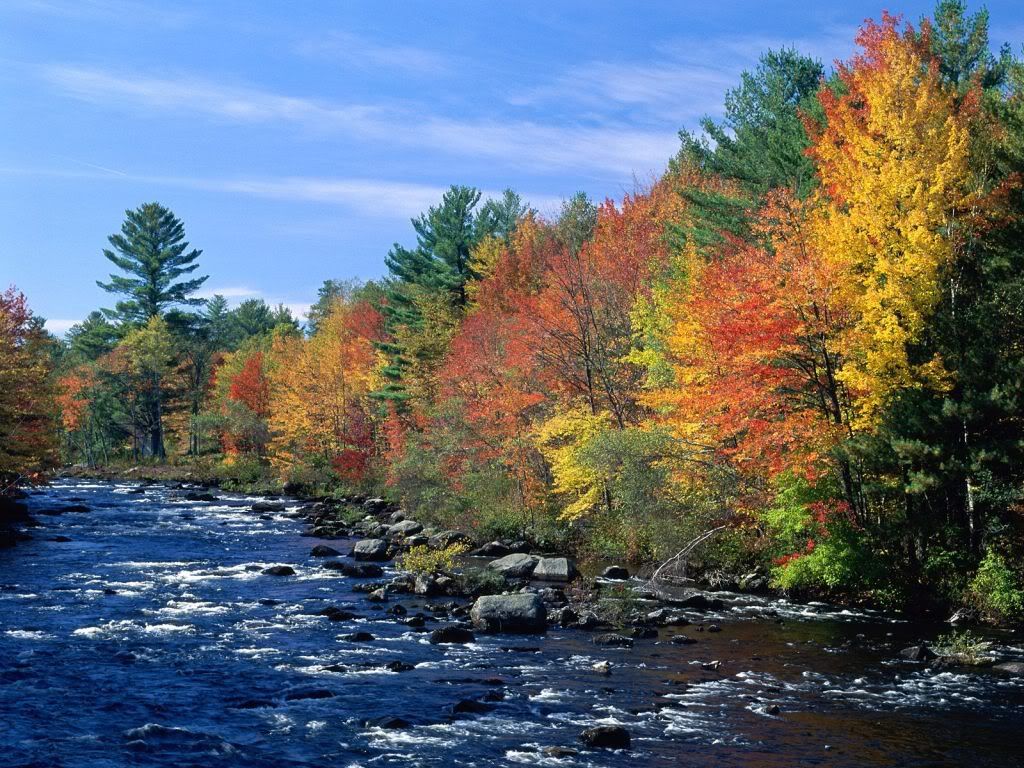 ColorsofNewEngland.jpg