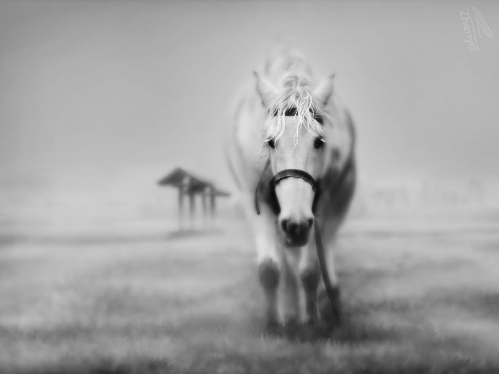CombineWallpapersPack4183.jpg