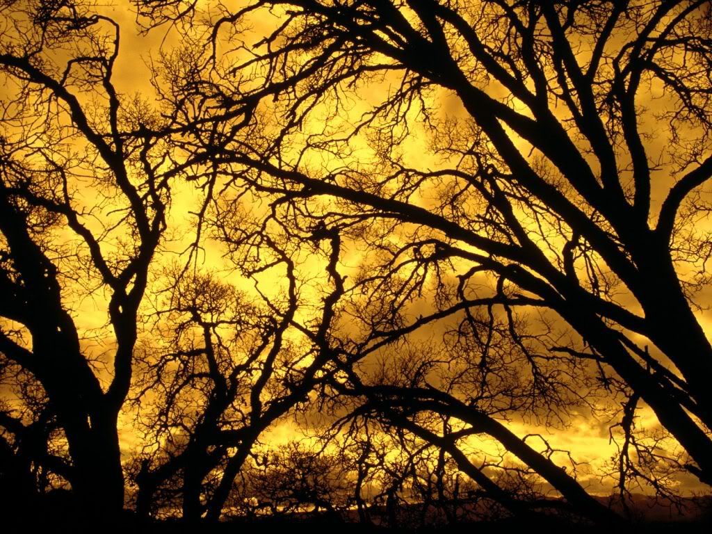 DevilsSkyMountDiabloCalifornia-1600.jpg