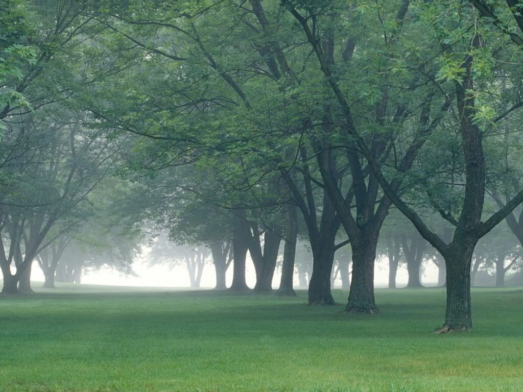 EarlyMorningMistCentralIndiana-1-1.jpg