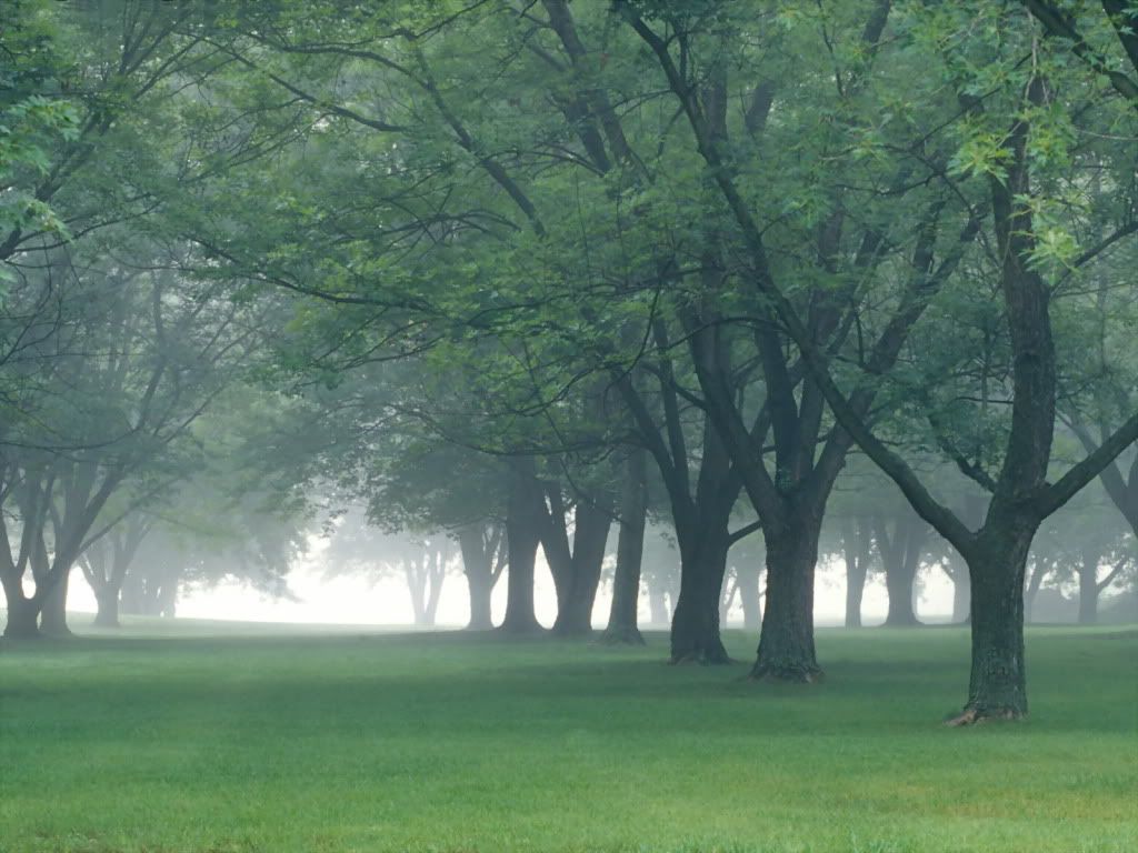 EarlyMorningMistCentralIndiana-1600.jpg