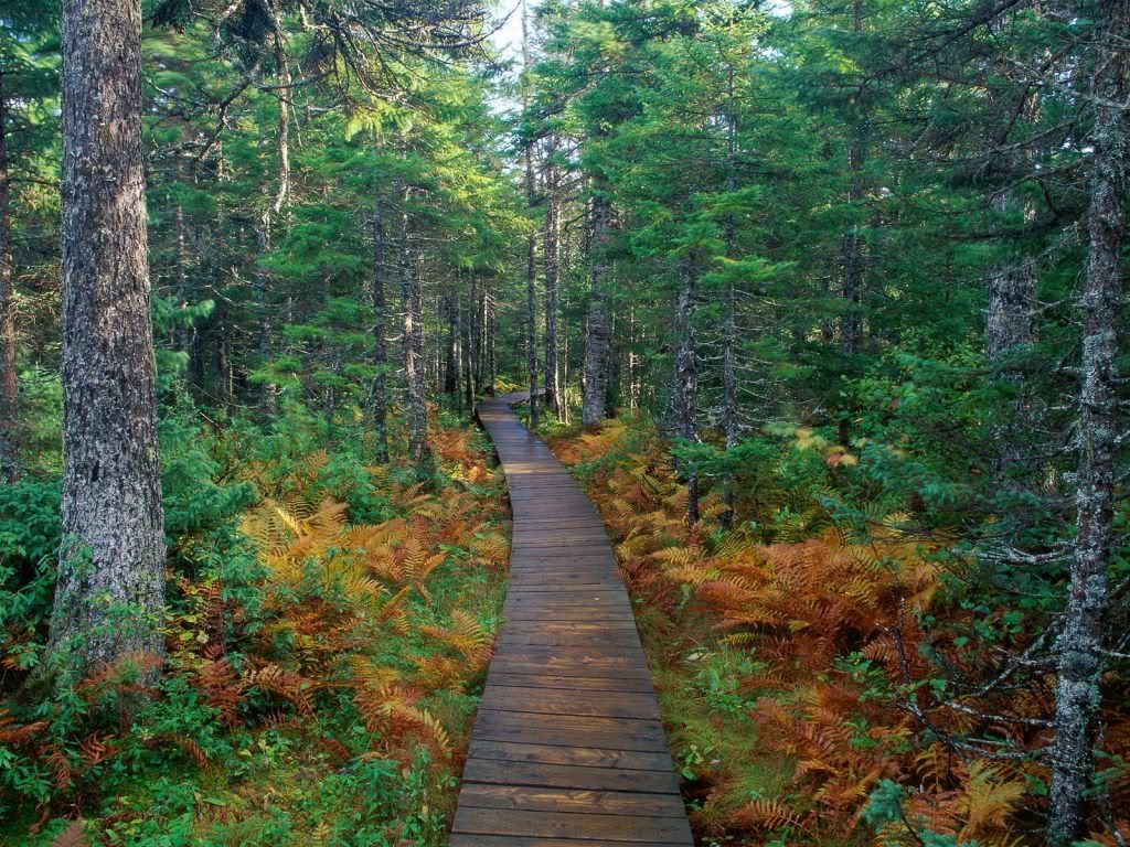 FundyNationalParkNewBrunswick.jpg
