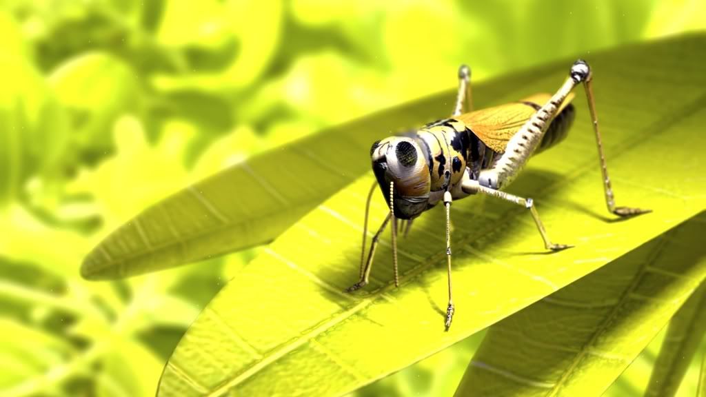 Grasshopper.jpg