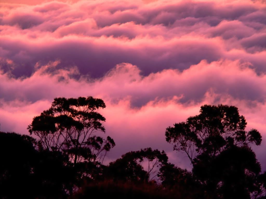 HaleakalaNationalParkMauiHawaii-160.jpg