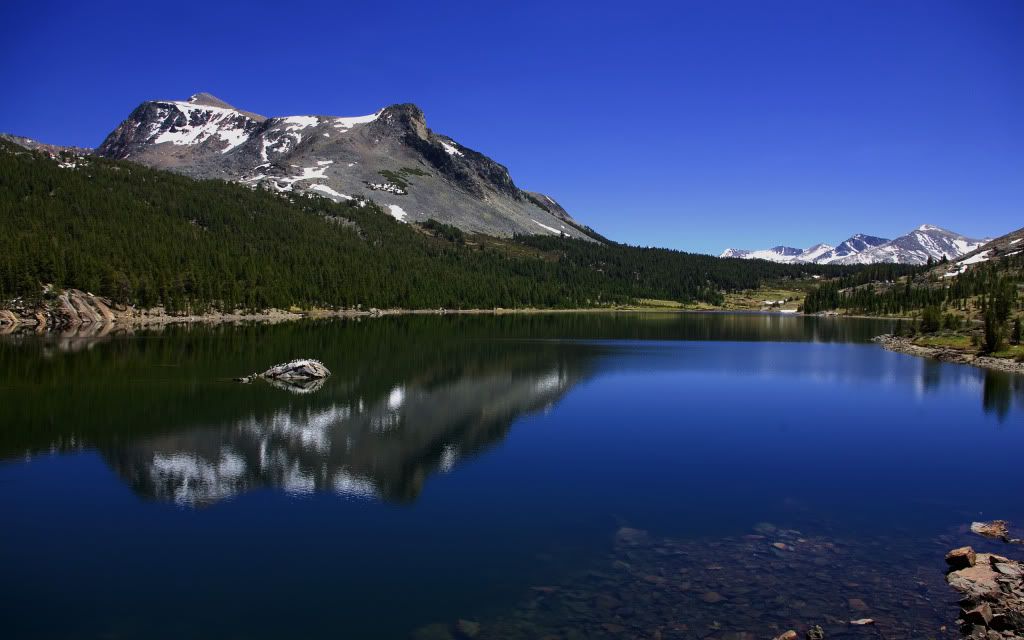HighQuality20070806CaParu063.jpg