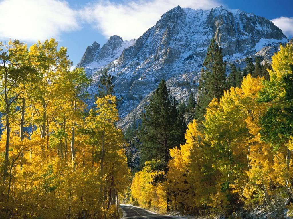 JuneLakeCalifornia.jpg
