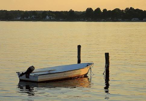 LiveImages_FotoHaber_GnnlkesiSol-22.jpg