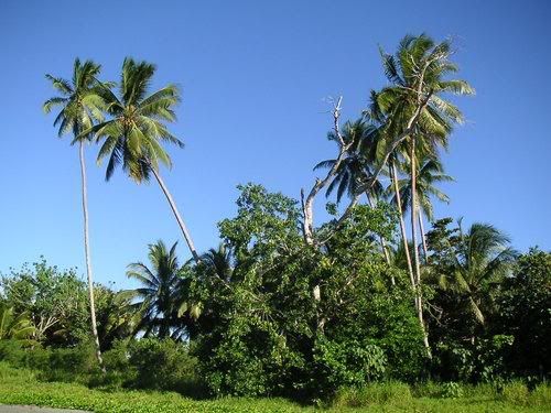 LiveImages_FotoHaber_GnnlkesiSol-33.jpg