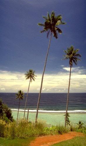 LiveImages_FotoHaber_GnnlkesiSol-35.jpg