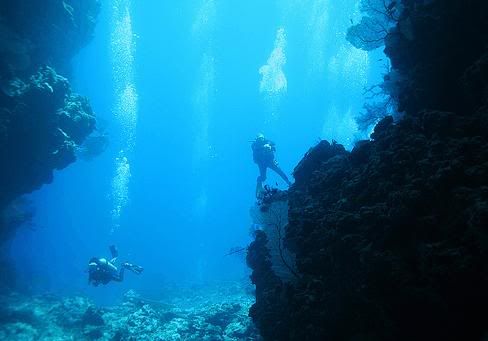 LiveImages_FotoHaber_GnnlkesiSol-53.jpg