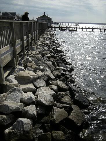 LiveImages_FotoHaber_GnnlkesiSol-77.jpg