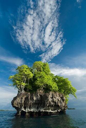 LiveImages_FotoHaber_GnnlkesiSol-79.jpg