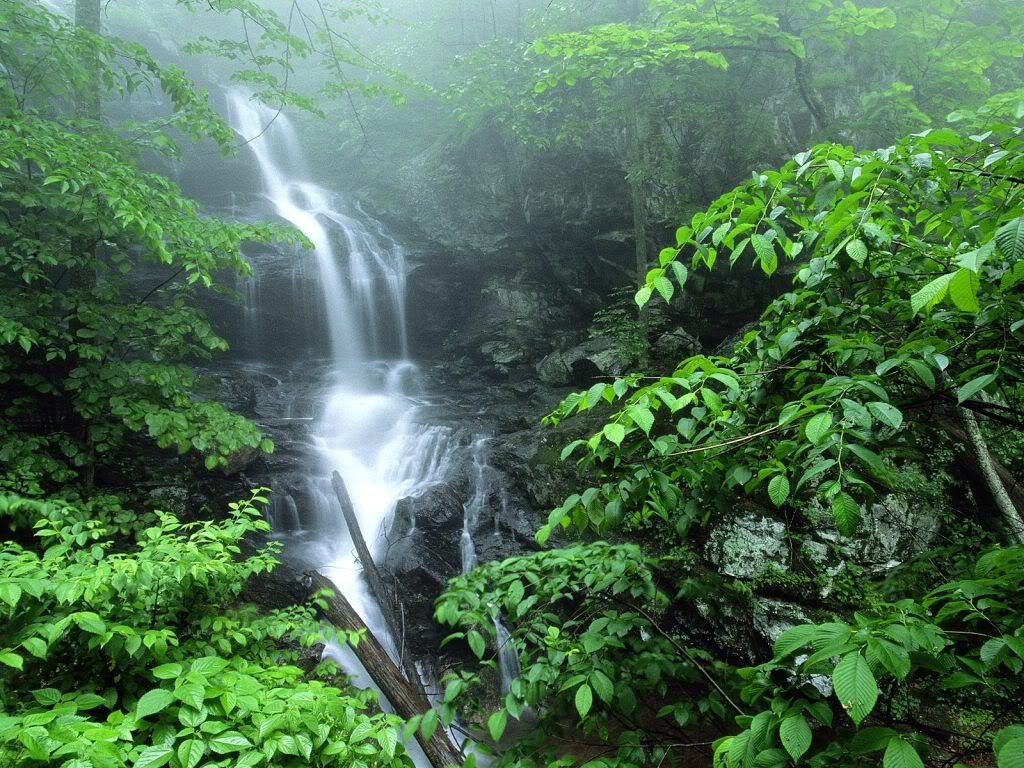 LowerDoylesRiverFallsShenandoahNati.jpg