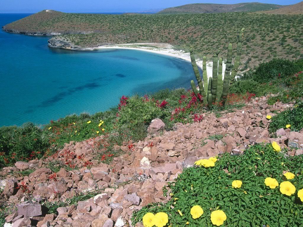Mexico_011.jpg
