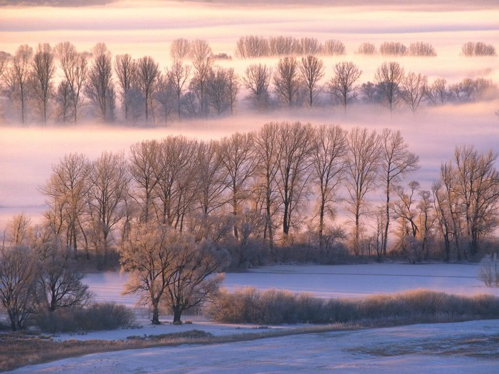 MistyMorn-1600x1200-ID20864.jpg