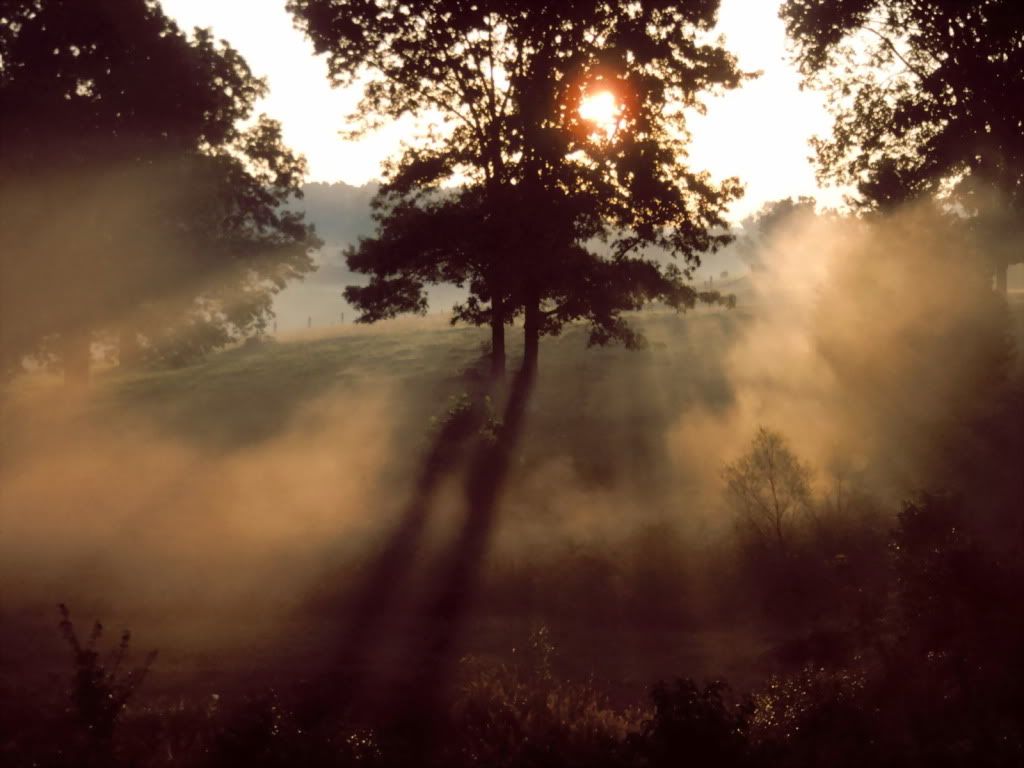 MorningMist-1600x1200-ID18862.jpg