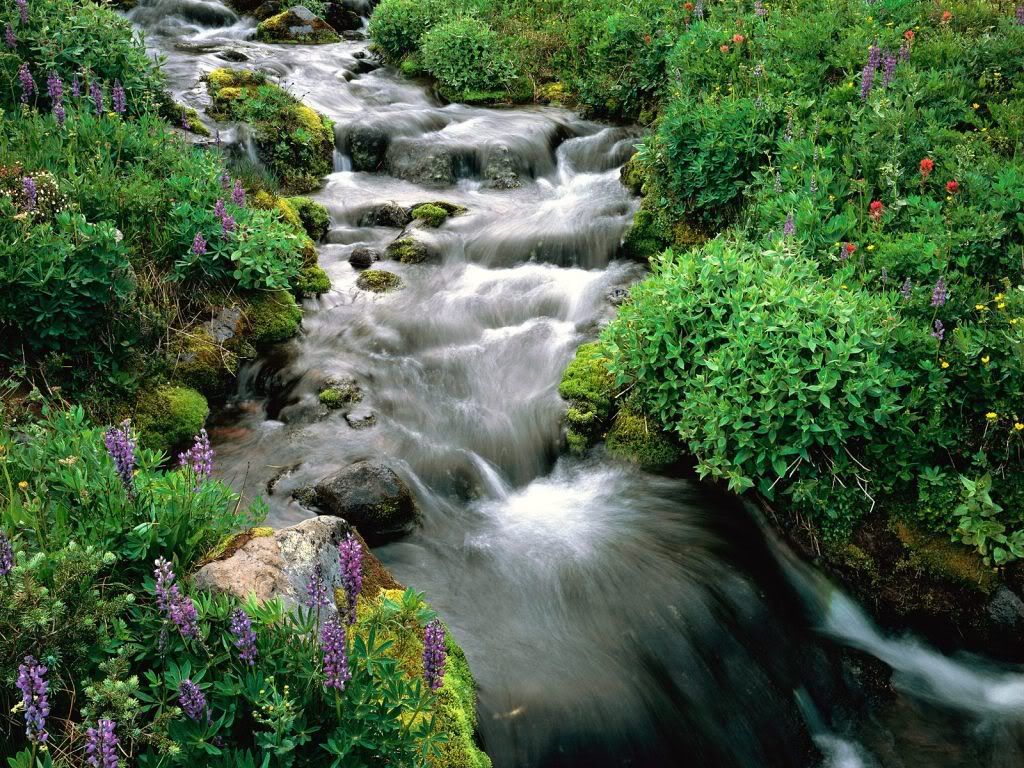 MountAdamsYakimaIndianReservationWa.jpg