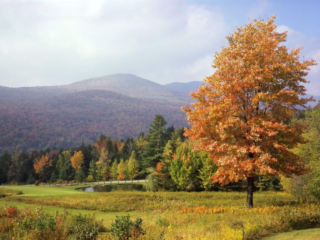 MountMansfieldVermont.jpg