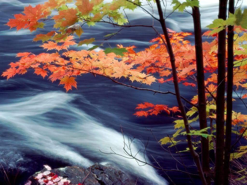 OxtongueRiverOntarioCanada.jpg