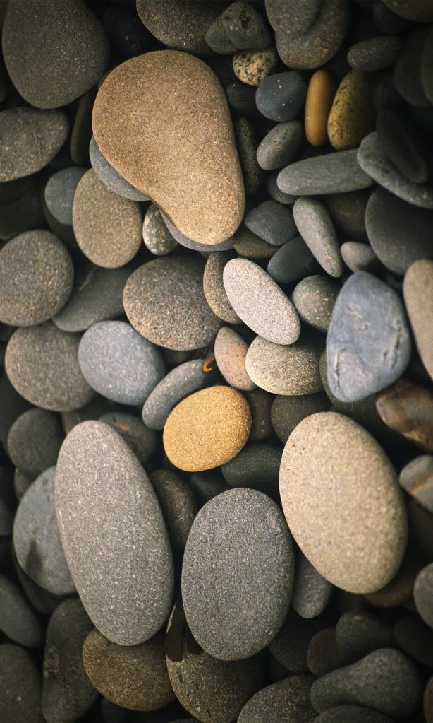 Piedras.jpg