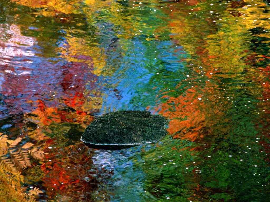 ReflectionsofAutumnMaine.jpg