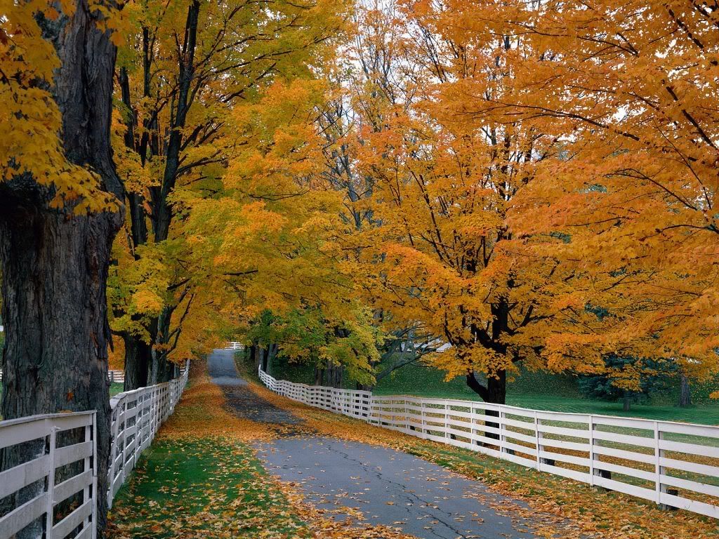 ScenicBackroadNewHampshire.jpg