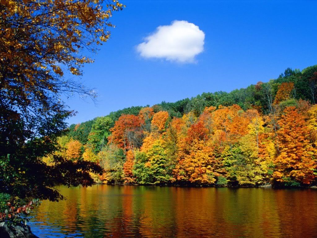 SeasonalShoreline.jpg