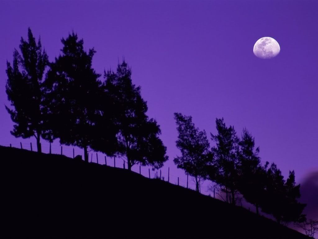 SerradosOrgaosNationalParkTeresopol.jpg
