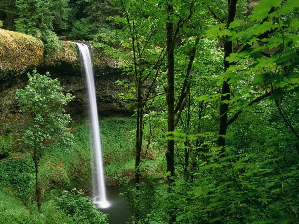 SilverFallsStateParkOregon.jpg