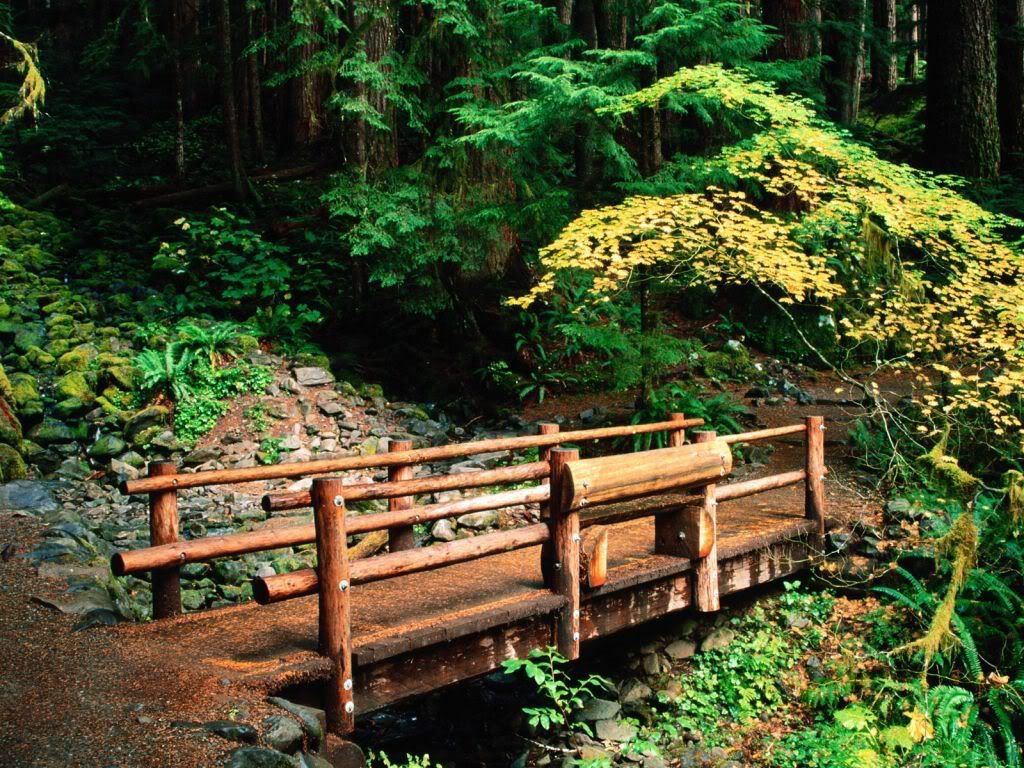 SolDucFallsTrailOlympicNationalPark.jpg