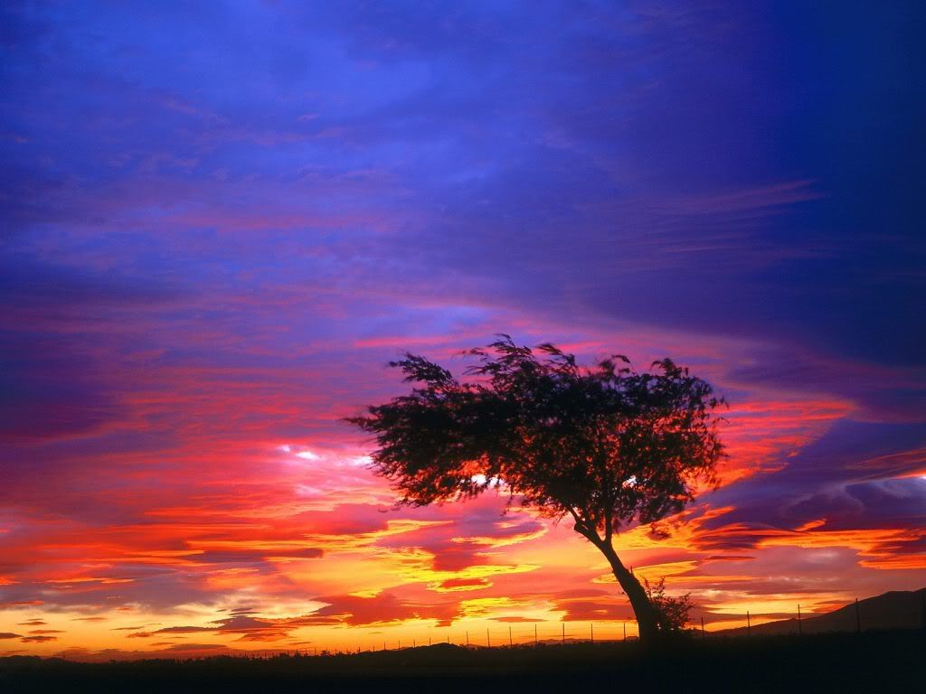 SunrisePalmdaleCalifornia-1600x1200.jpg