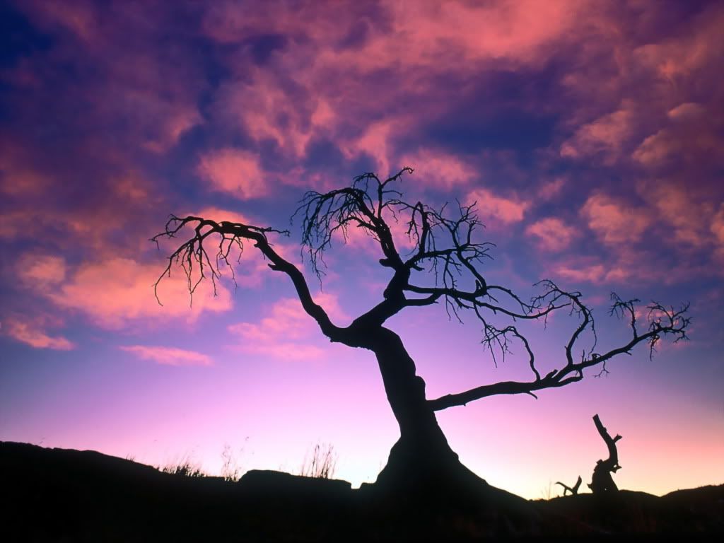 TheDarkBeforetheDawn-1600x1200-ID24.jpg