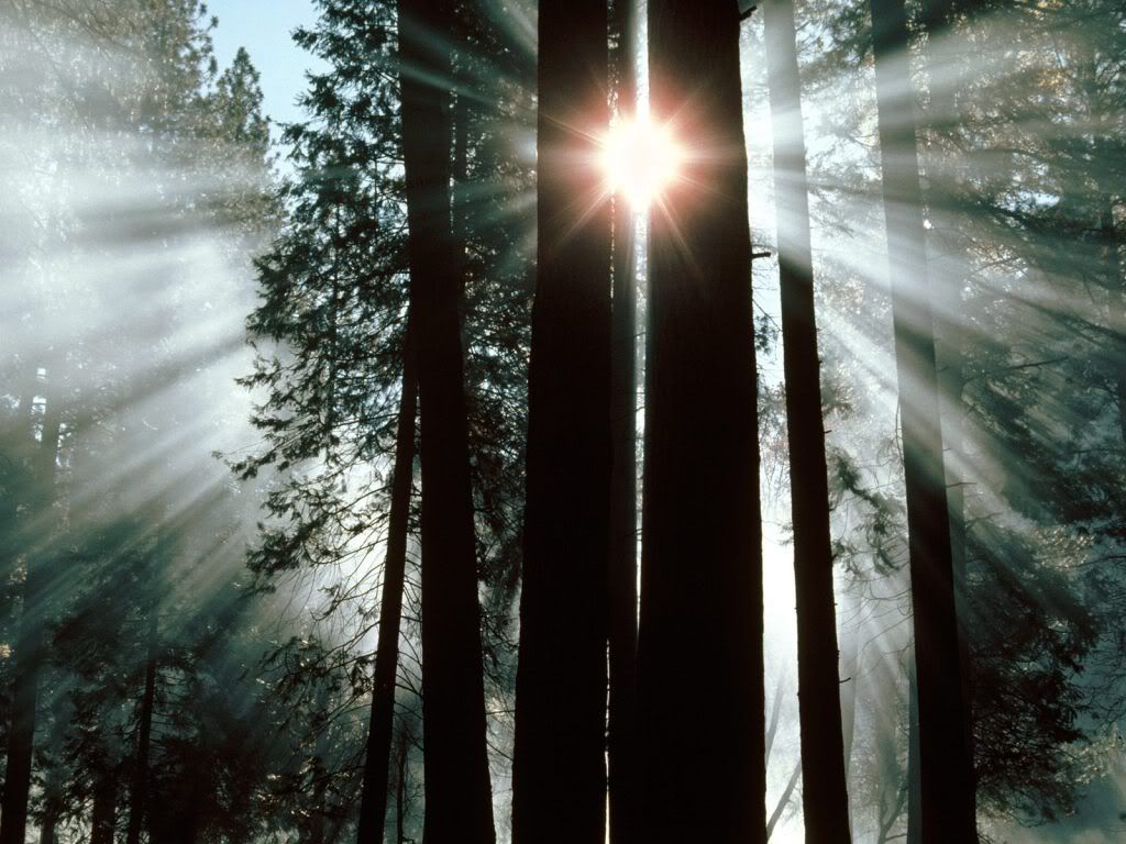 TheRaysofYosemiteValleyYosemiteNati.jpg