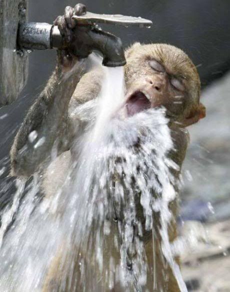 drink_10.jpg