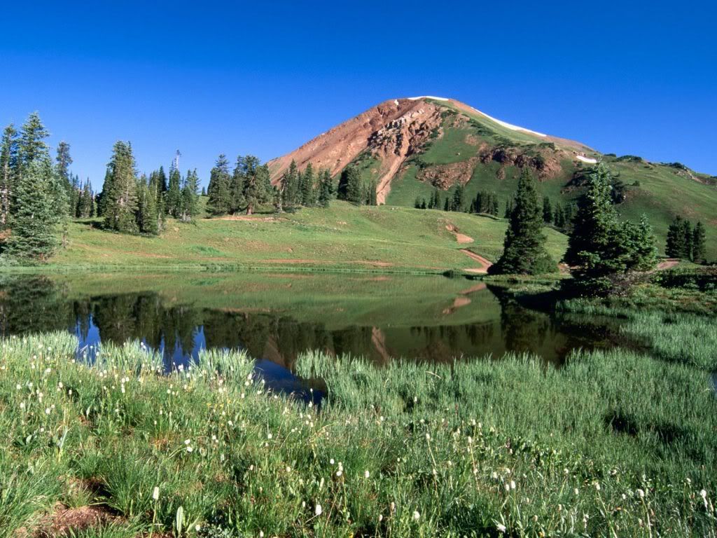 nbifth0102.jpg